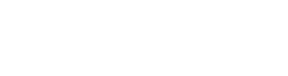 General Dynamics IT