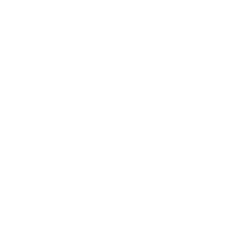 United States Government